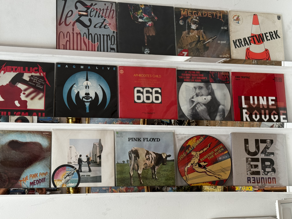 Vinyles : Megadeth, Kraftwerk, Metallica, Magma live, Aphrodite Child, Lune rouge, The pink Floyd Meddle, UZEB Reunion, Surfing with the alien