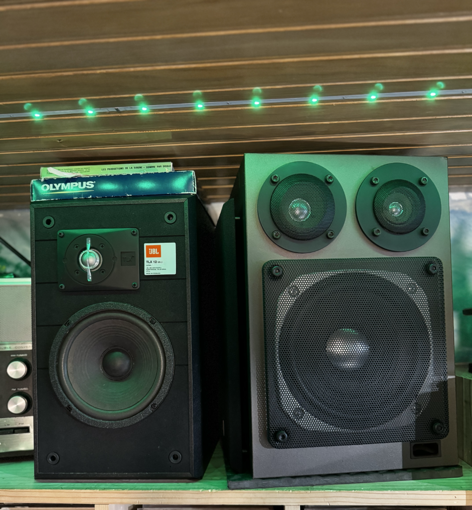 Enceintes JBL TLX 12